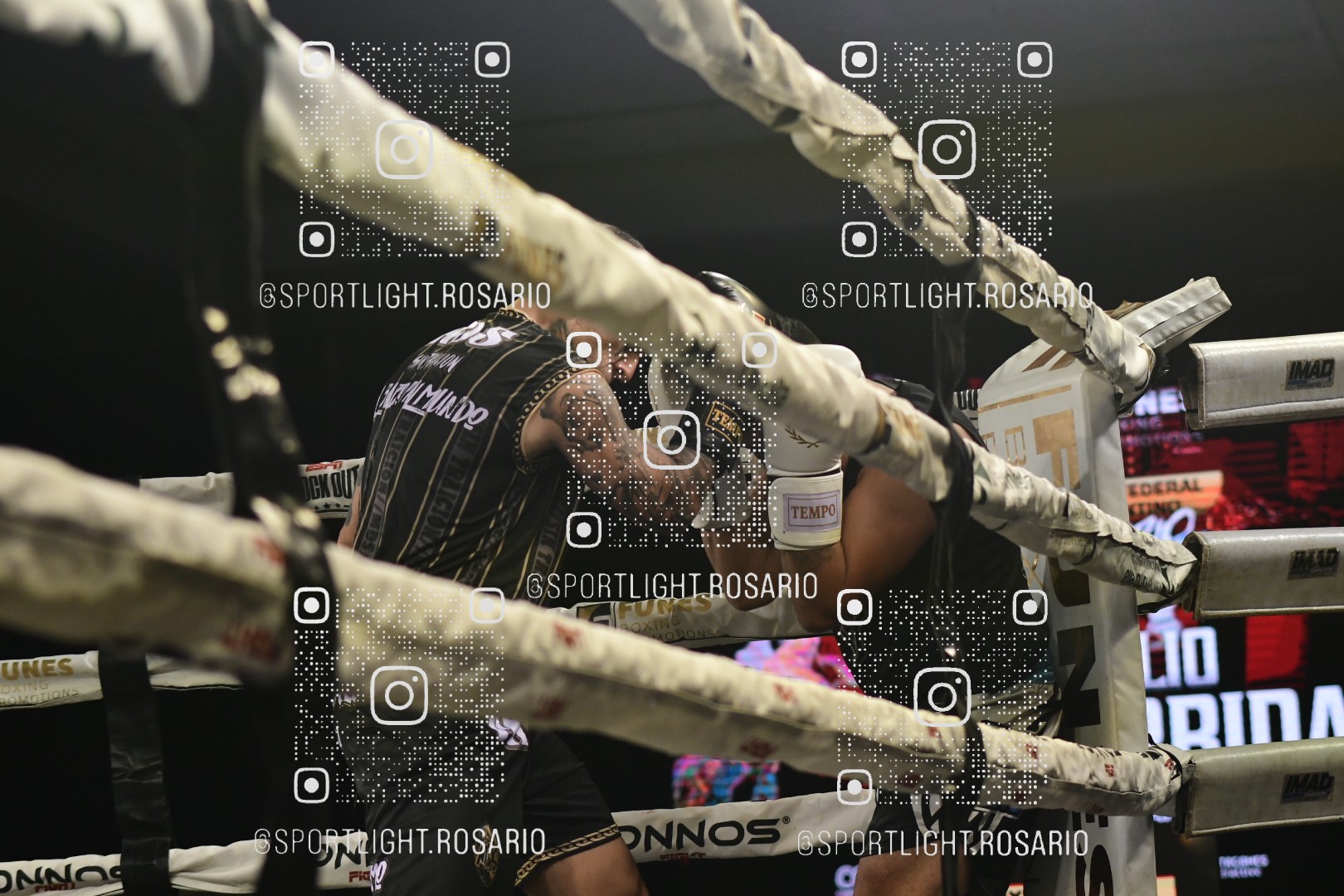 boxeo federal rosario preview 20260529 013 boxeo federal rosario preview 20260529 013