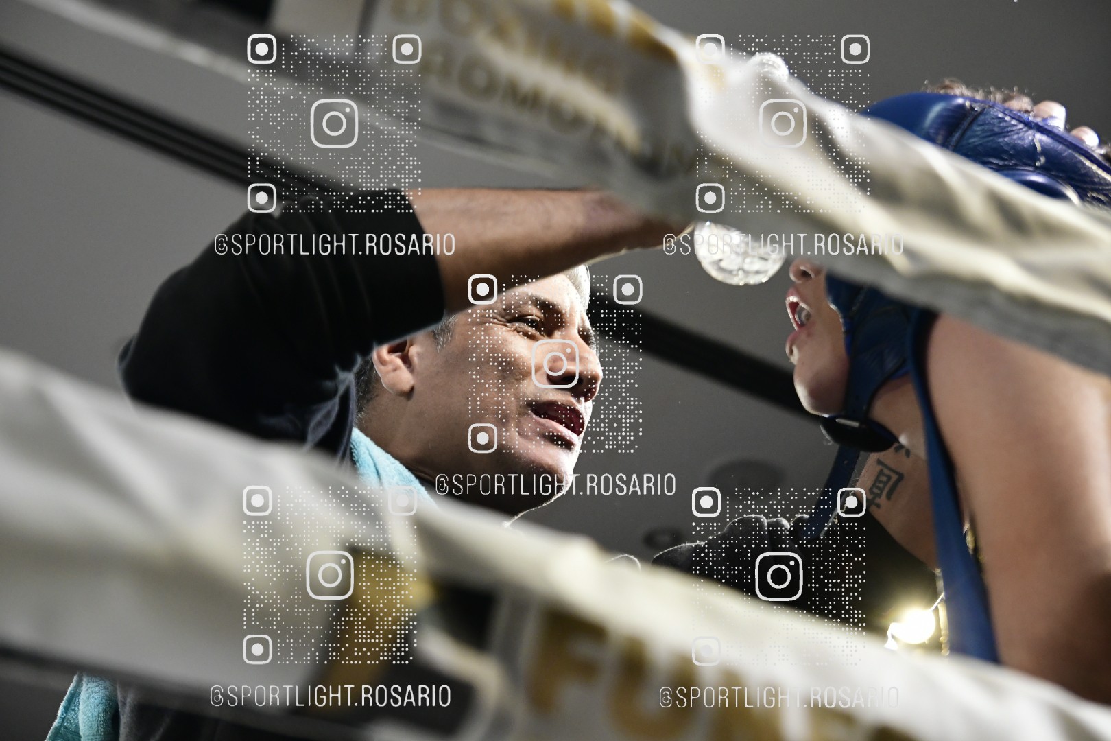 boxeo federal rosario preview 20260529 193 boxeo federal rosario preview 20260529 193