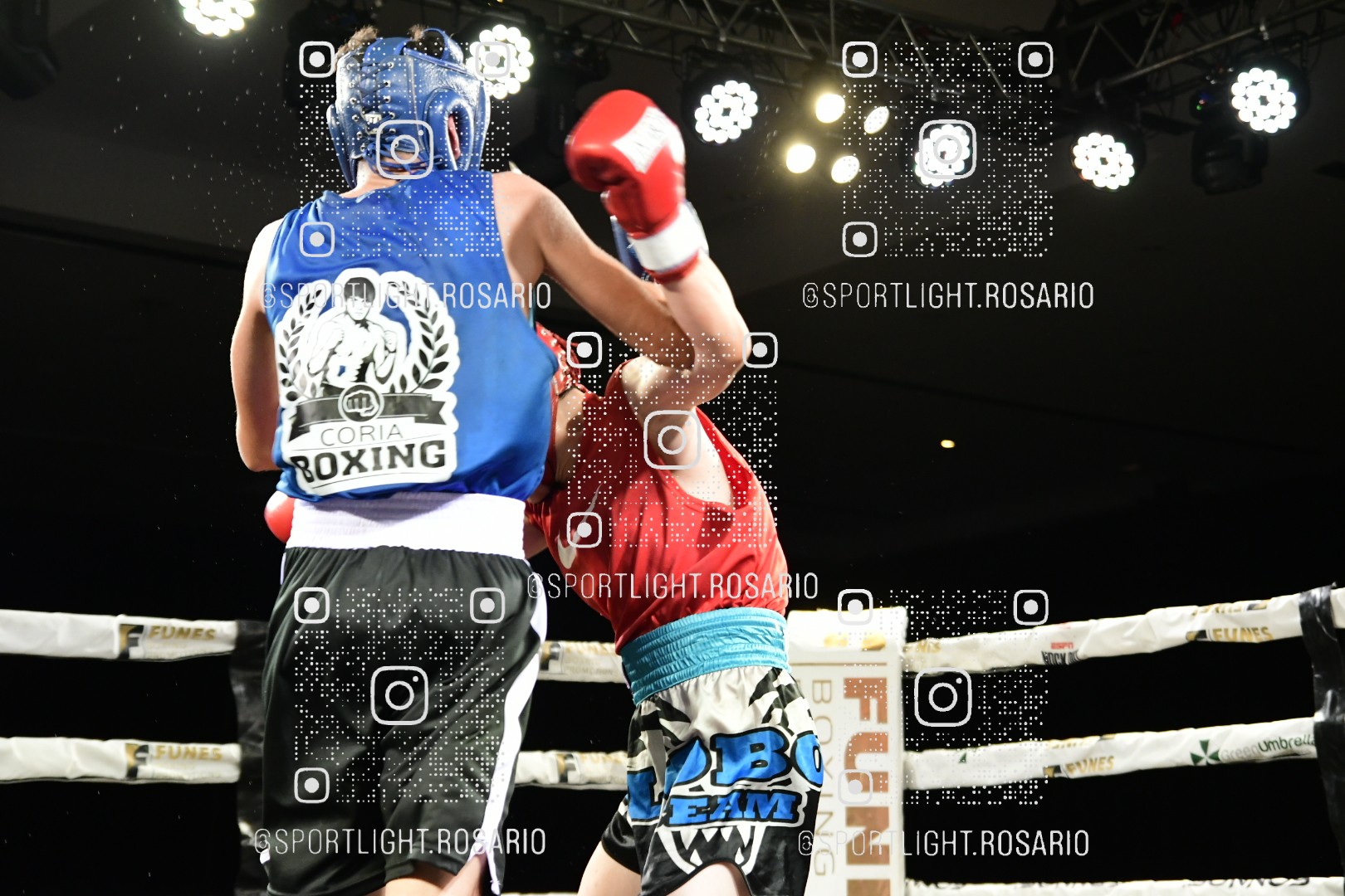 boxeo federal rosario preview 20260529 228 boxeo federal rosario preview 20260529 228