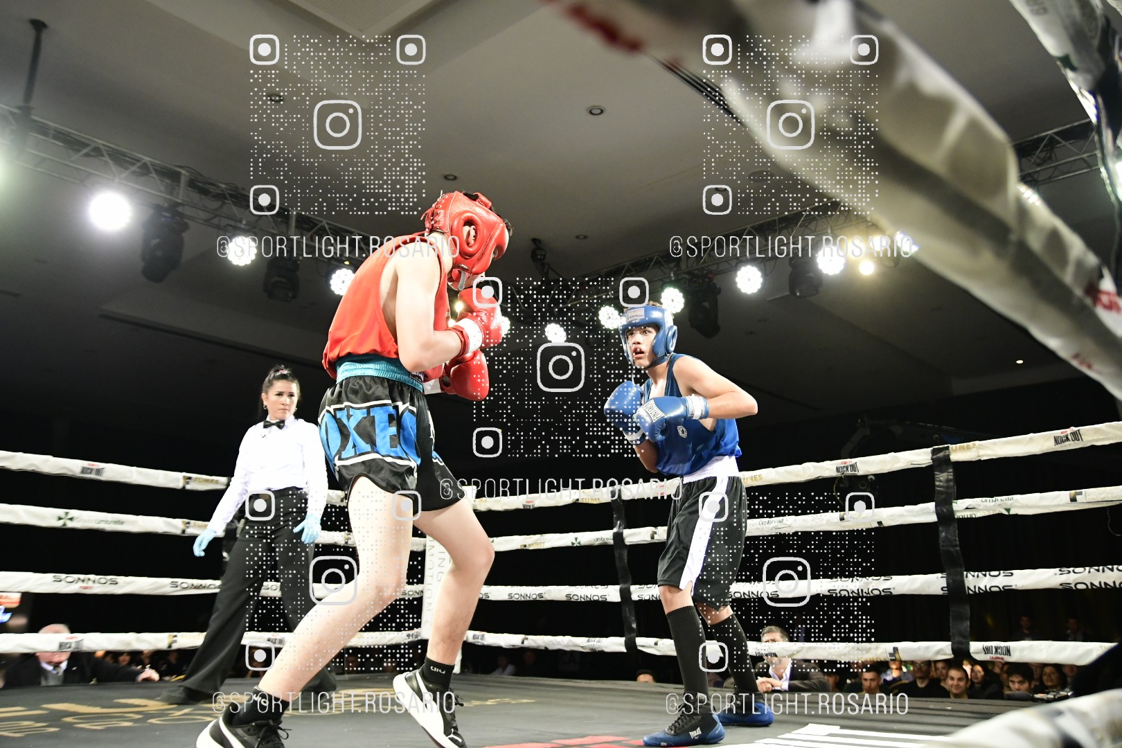 boxeo federal rosario preview 20260529 233 boxeo federal rosario preview 20260529 233