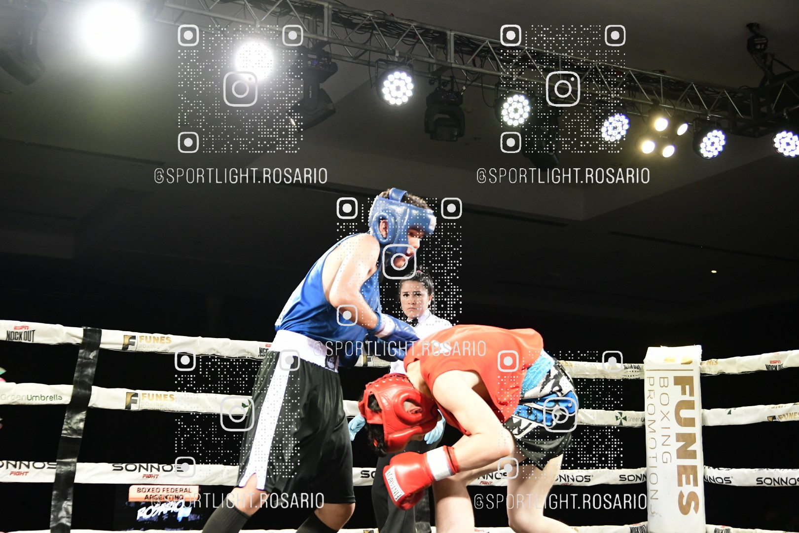boxeo federal rosario preview 20260529 241 boxeo federal rosario preview 20260529 241