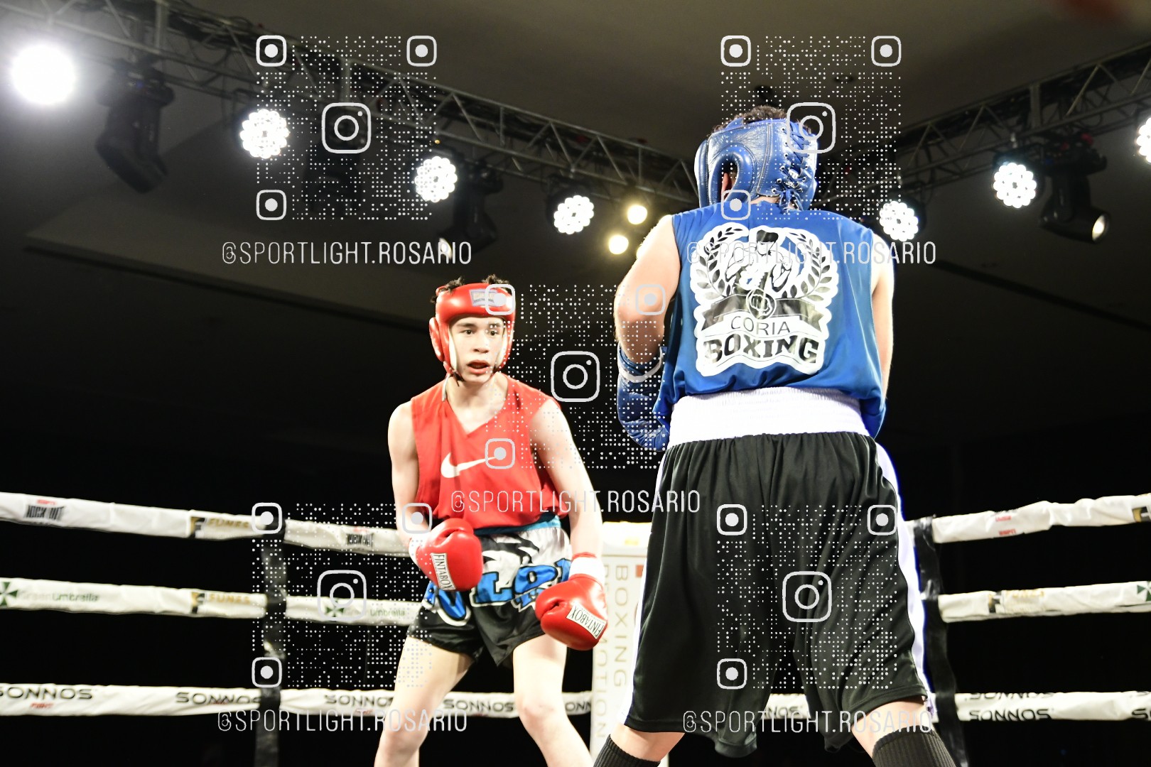 boxeo federal rosario preview 20260529 243 boxeo federal rosario preview 20260529 243