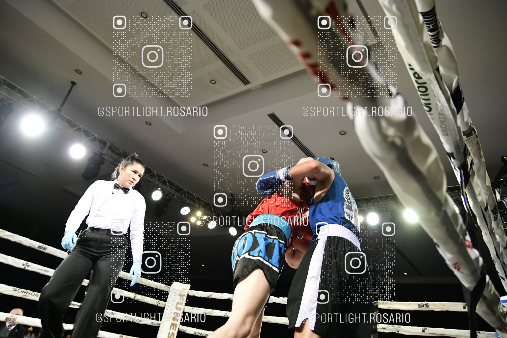 boxeo federal rosario preview 20260529 249 boxeo federal rosario preview 20260529 249