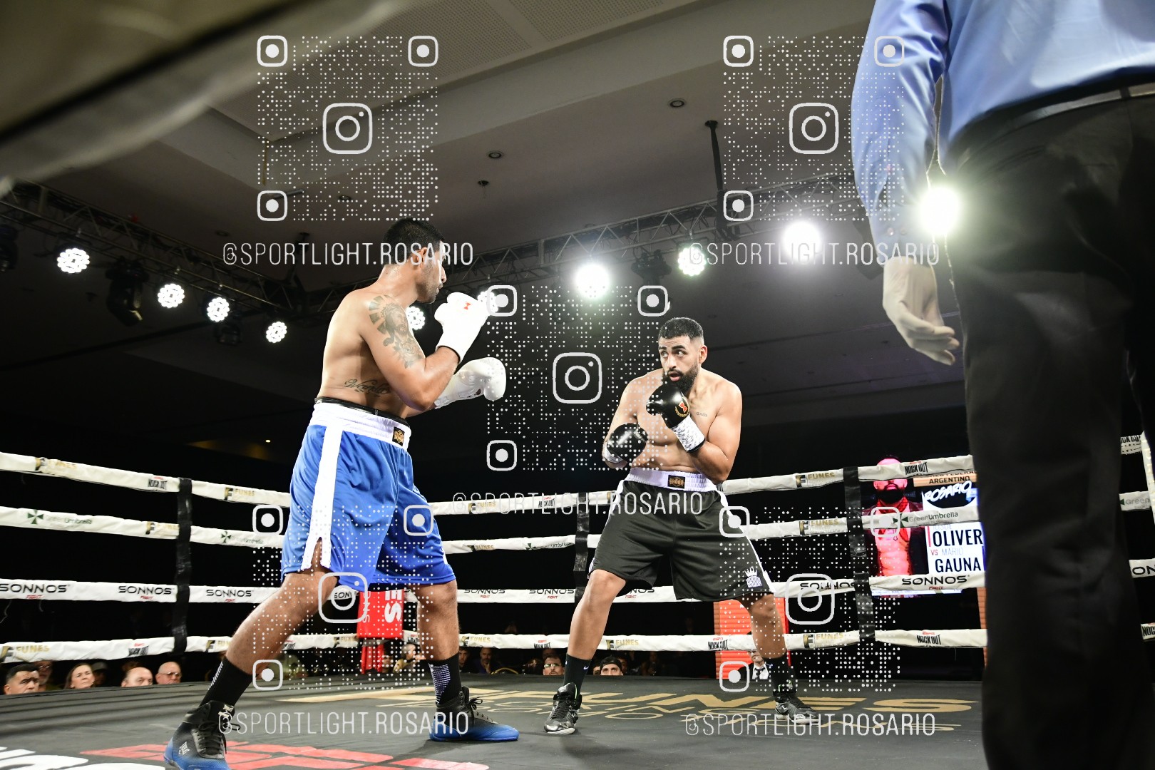 boxeo federal rosario preview 20260529 427 boxeo federal rosario preview 20260529 427