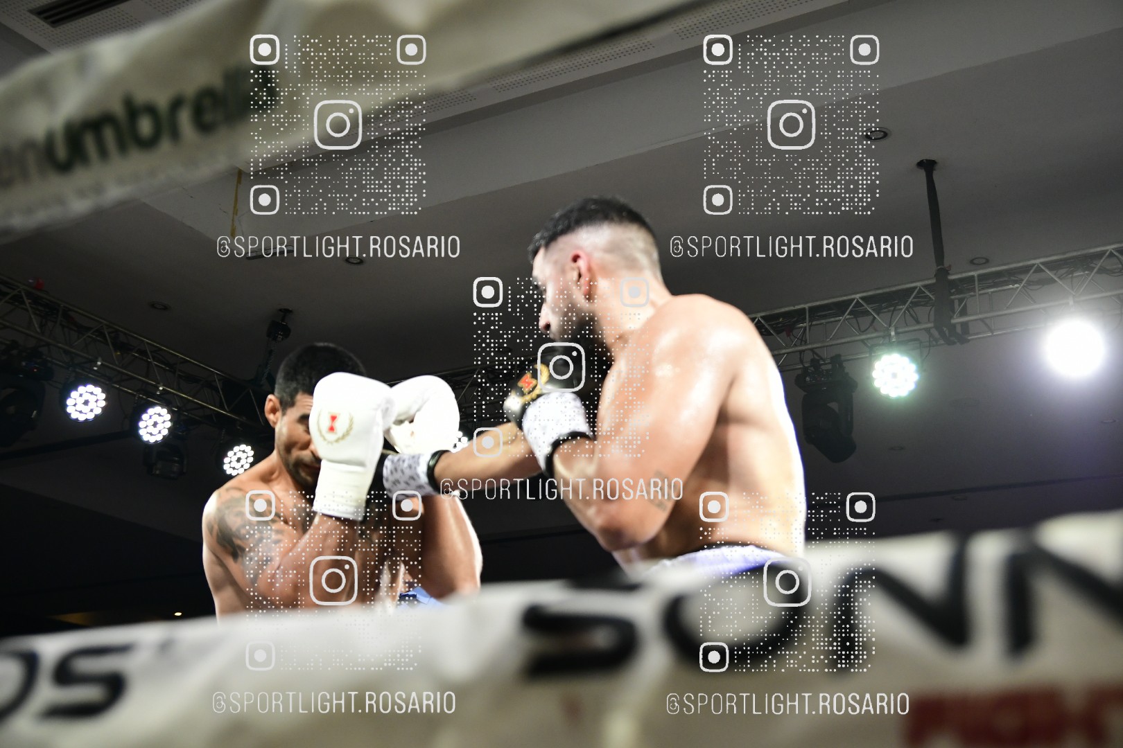 boxeo federal rosario preview 20260529 438 boxeo federal rosario preview 20260529 438