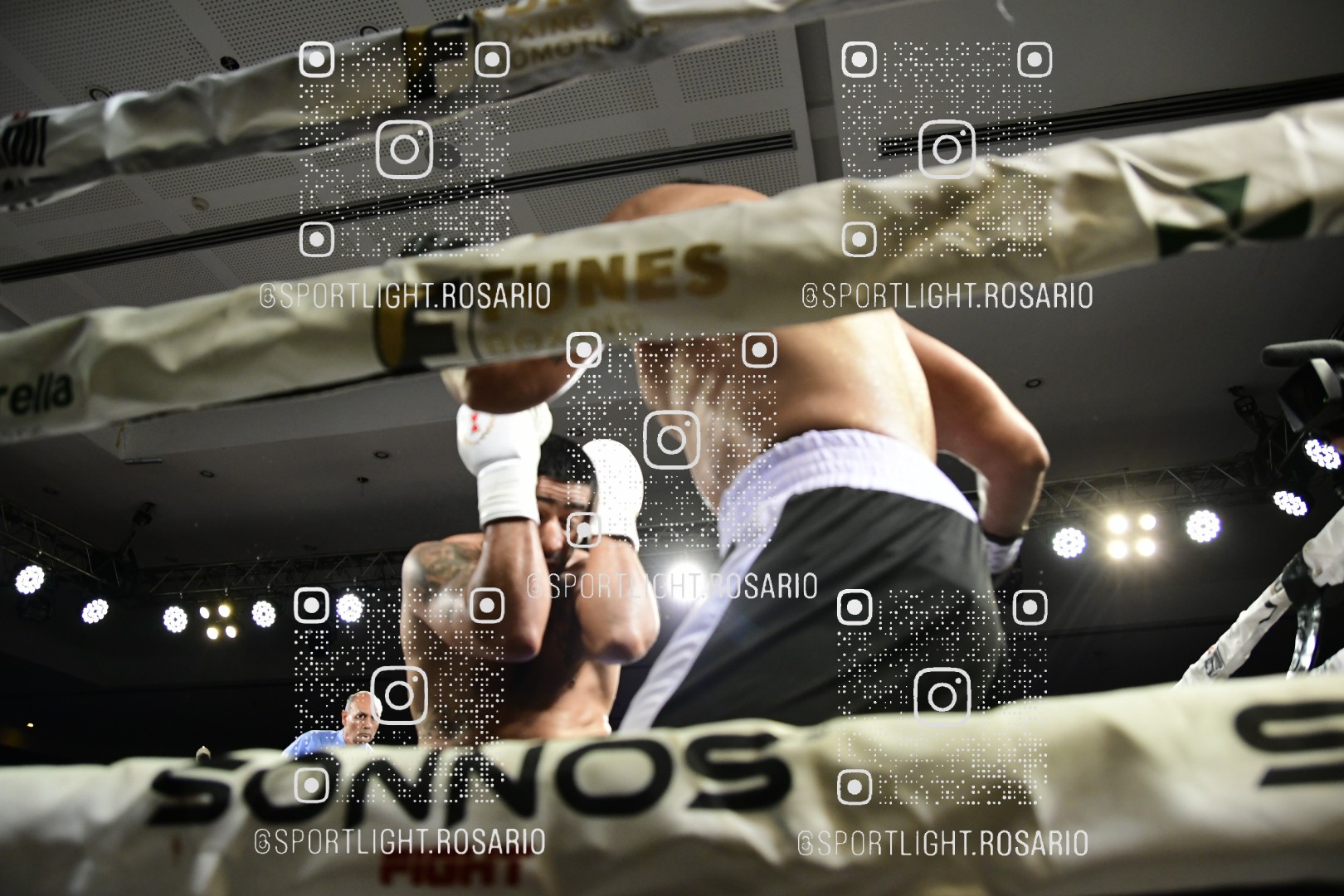 boxeo federal rosario preview 20260529 440 boxeo federal rosario preview 20260529 440
