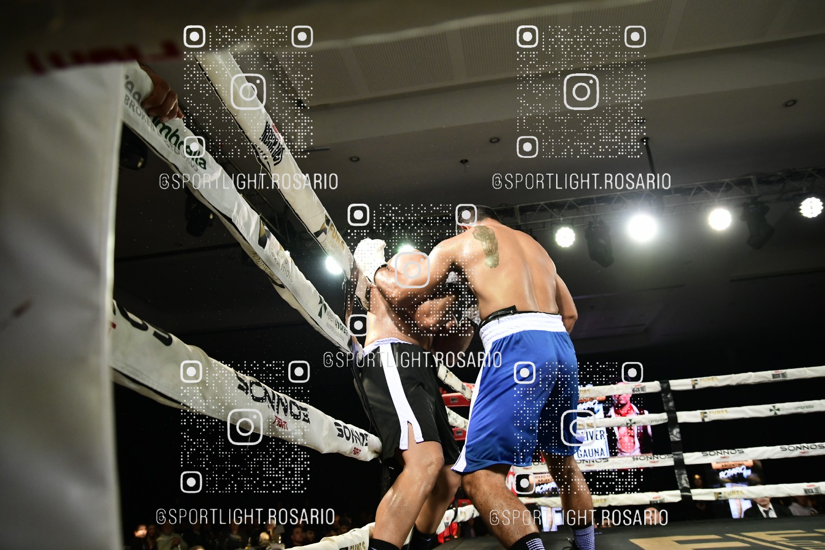 boxeo federal rosario preview 20260529 477 boxeo federal rosario preview 20260529 477
