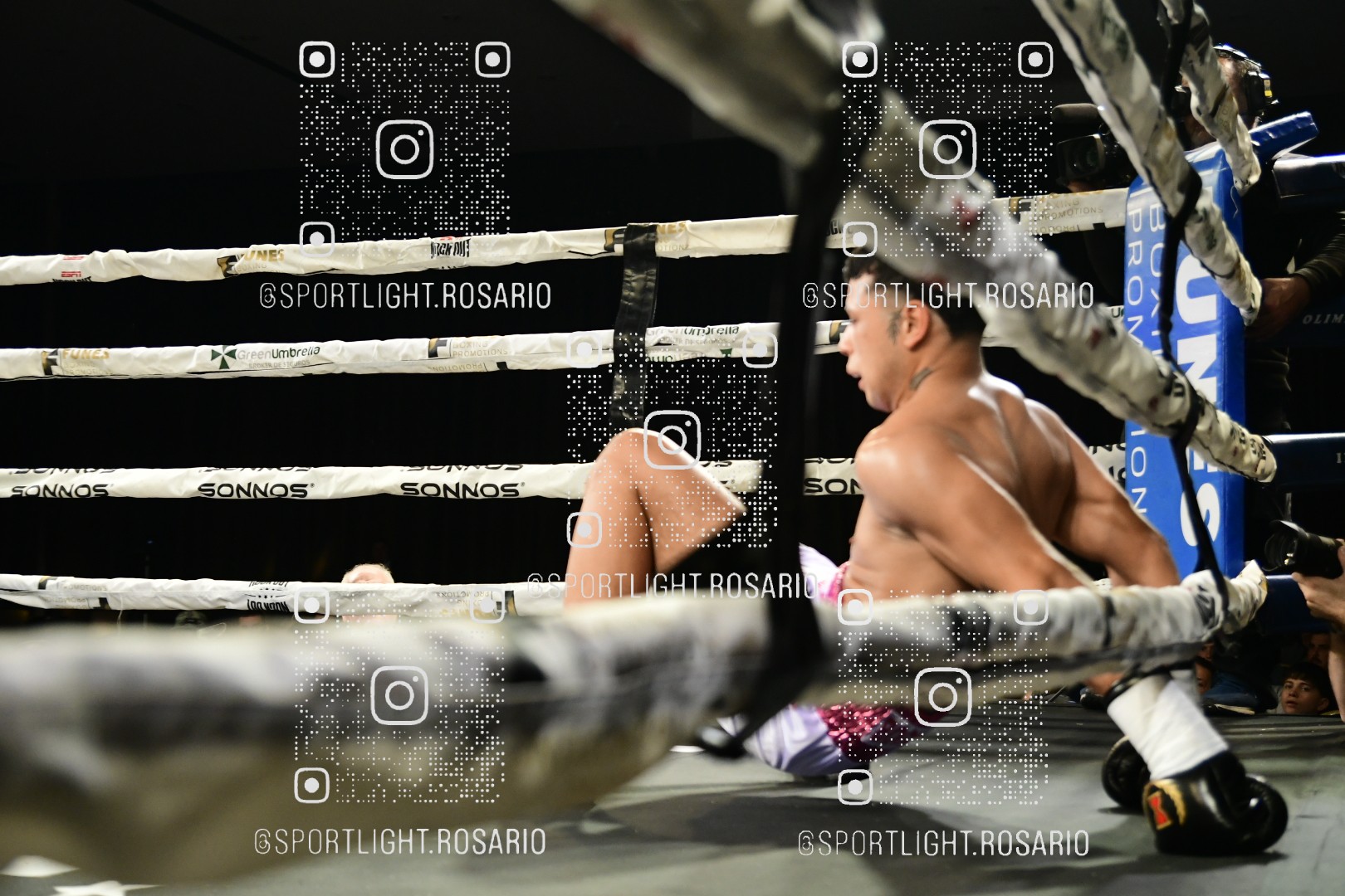 boxeo federal rosario preview 20260529 515 boxeo federal rosario preview 20260529 515