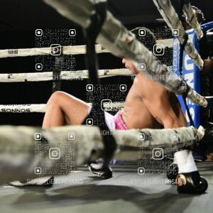 boxeo federal rosario preview 20260529 516