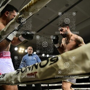 boxeo federal rosario preview 20260529 609