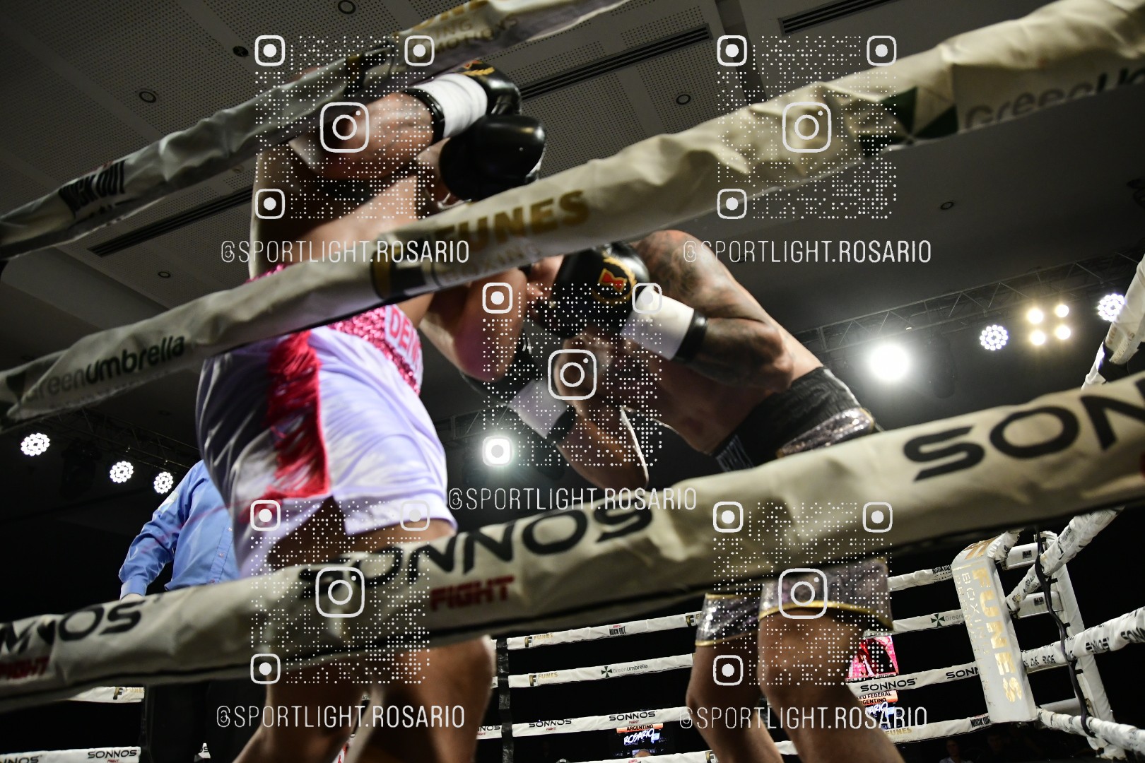 boxeo federal rosario preview 20260529 614 boxeo federal rosario preview 20260529 614