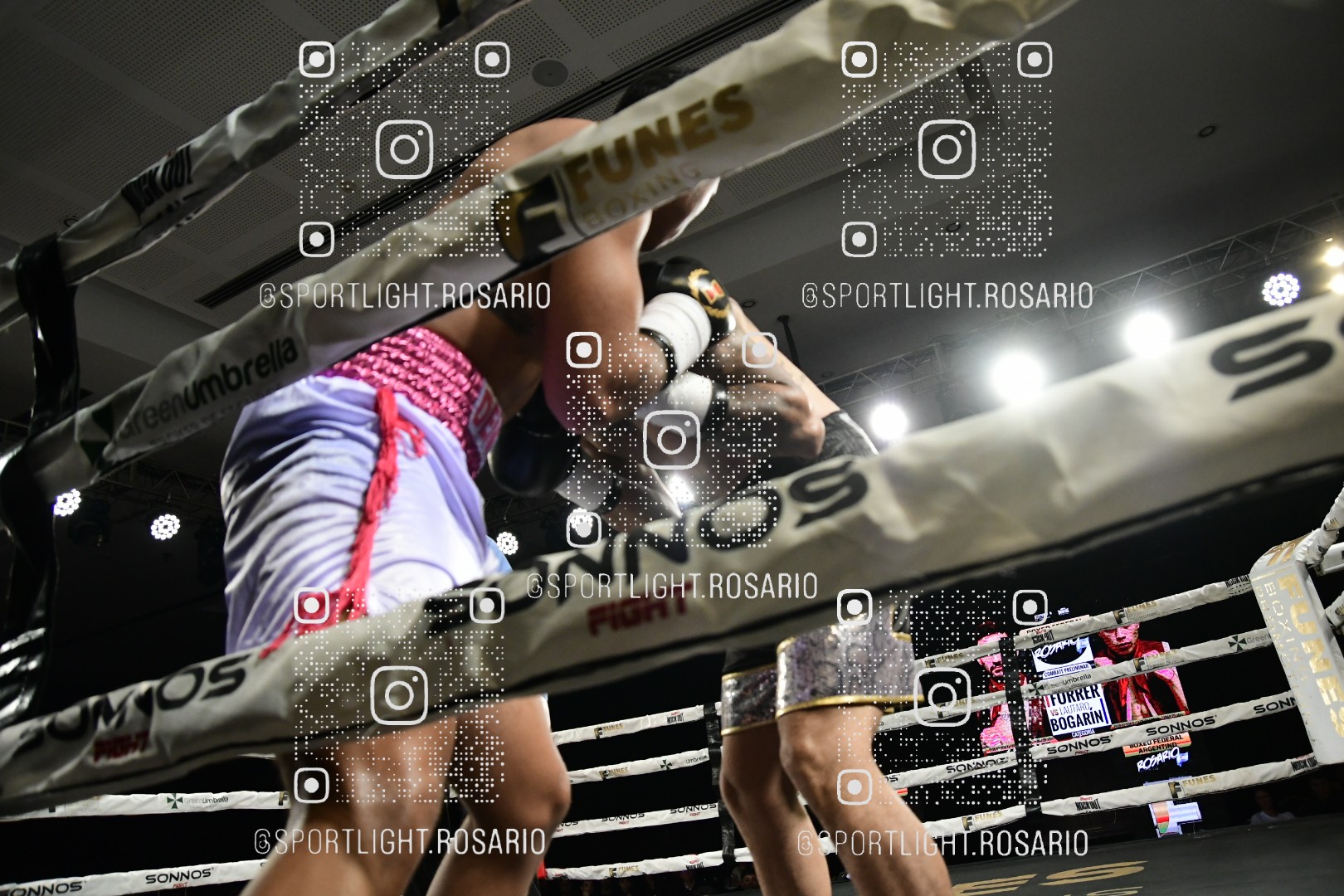 boxeo federal rosario preview 20260529 620 boxeo federal rosario preview 20260529 620