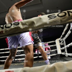 boxeo federal rosario preview 20260529 623