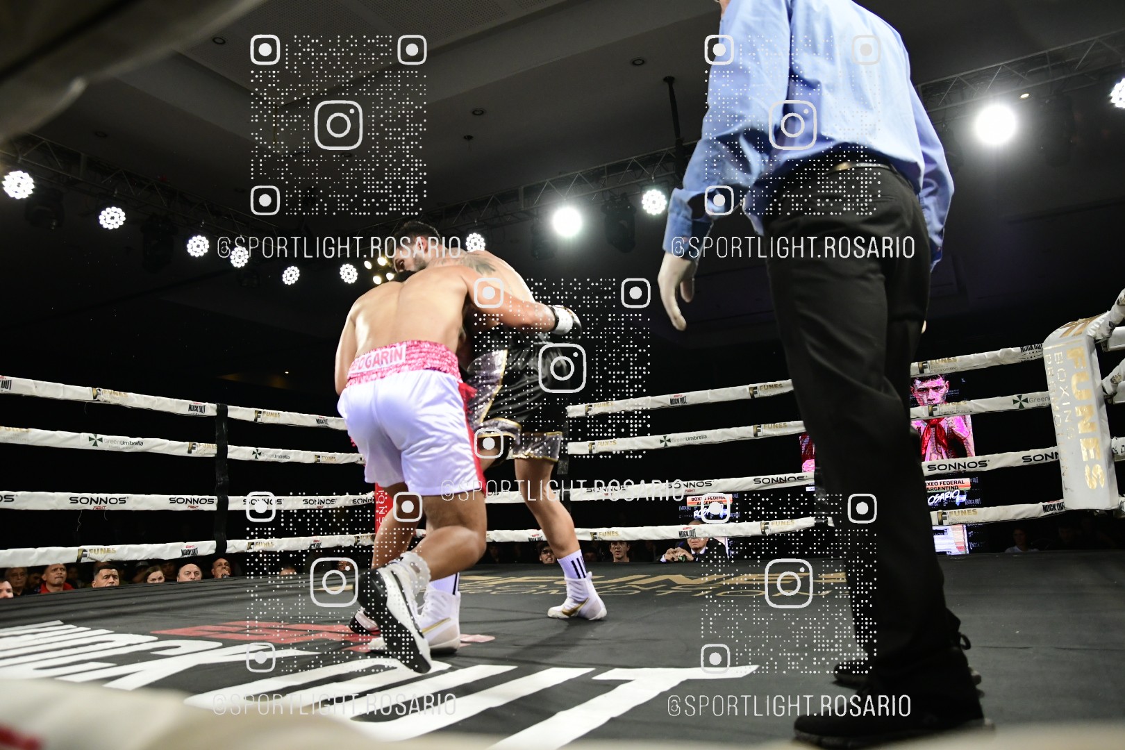 boxeo federal rosario preview 20260529 627 boxeo federal rosario preview 20260529 627