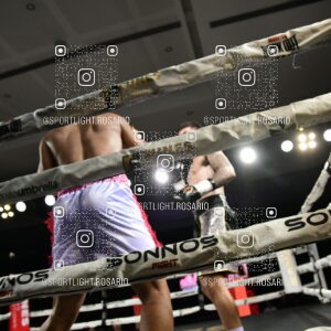 boxeo federal rosario preview 20260529 682
