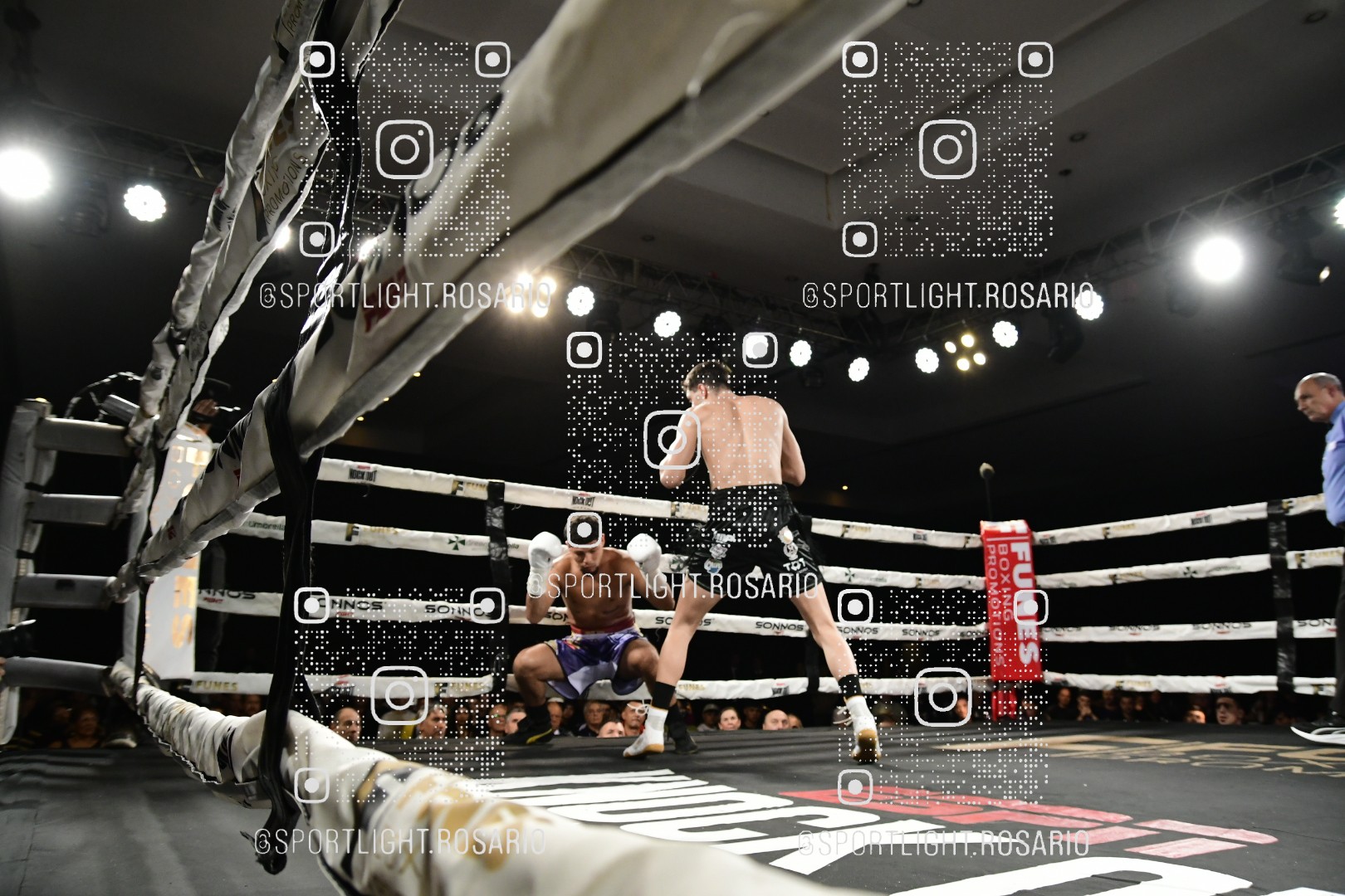 boxeo federal rosario preview 20260529 752 boxeo federal rosario preview 20260529 752