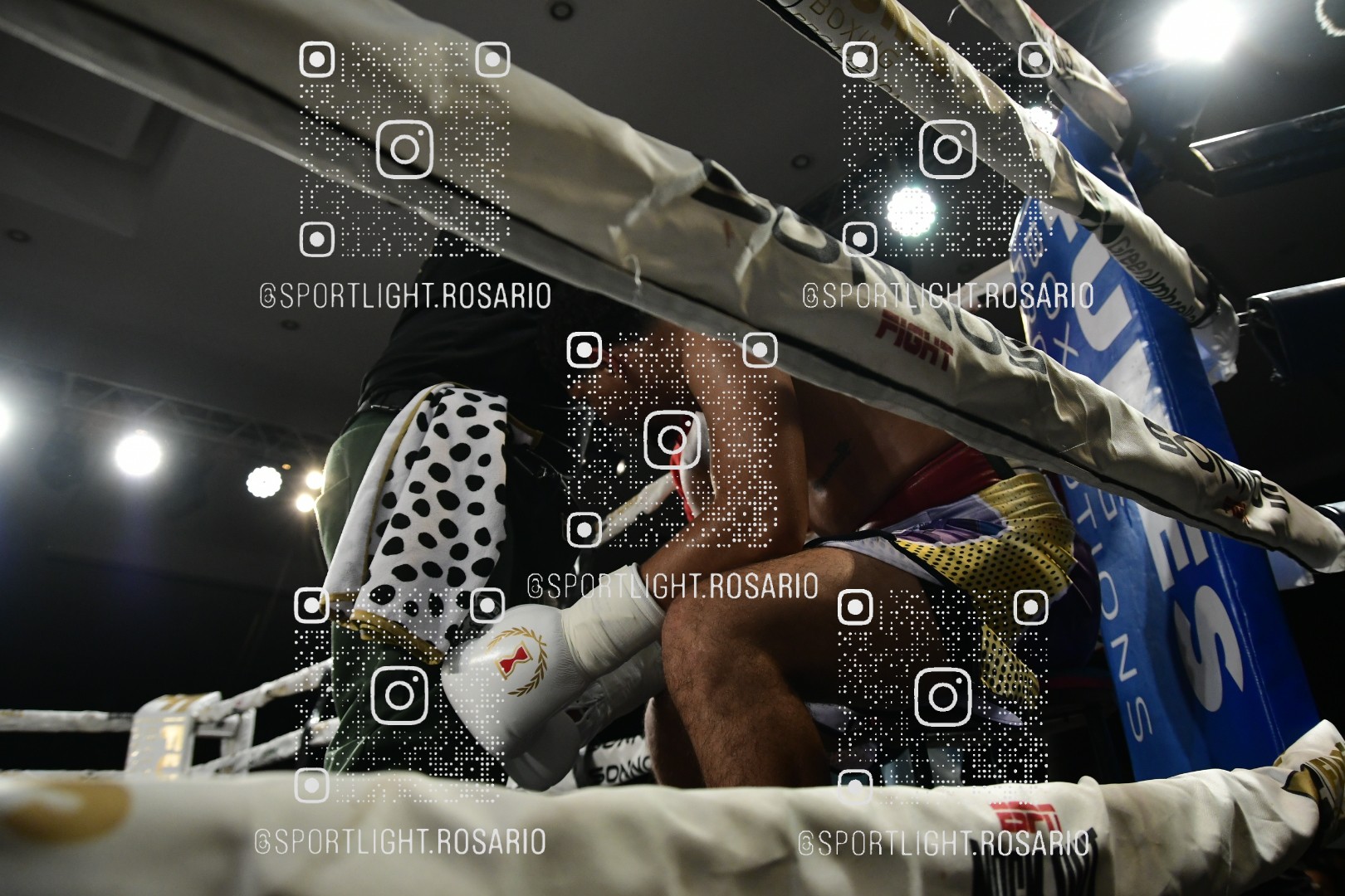 boxeo federal rosario preview 20260529 770 boxeo federal rosario preview 20260529 770