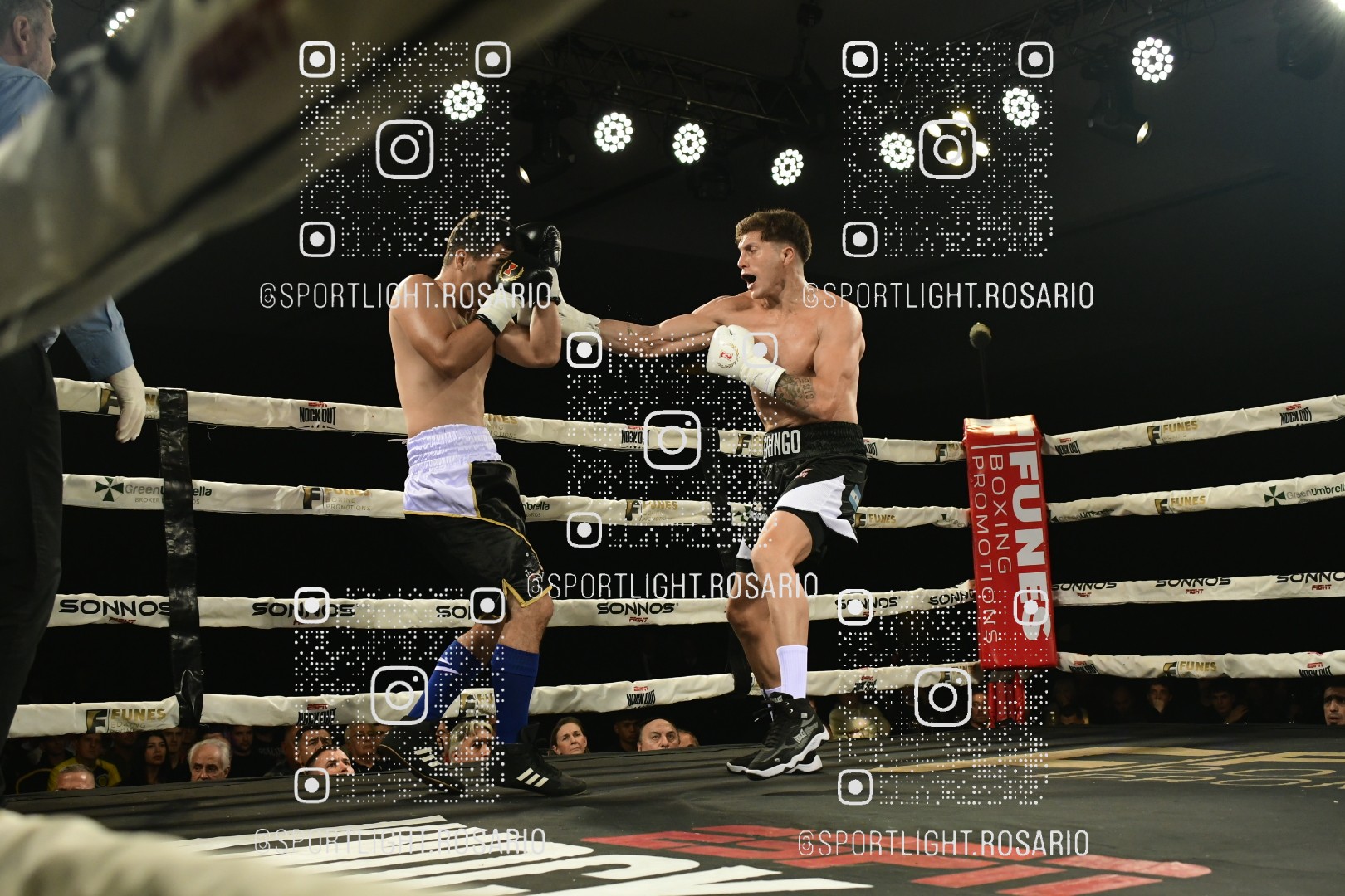 boxeo federal rosario preview 20260529 816 boxeo federal rosario preview 20260529 816