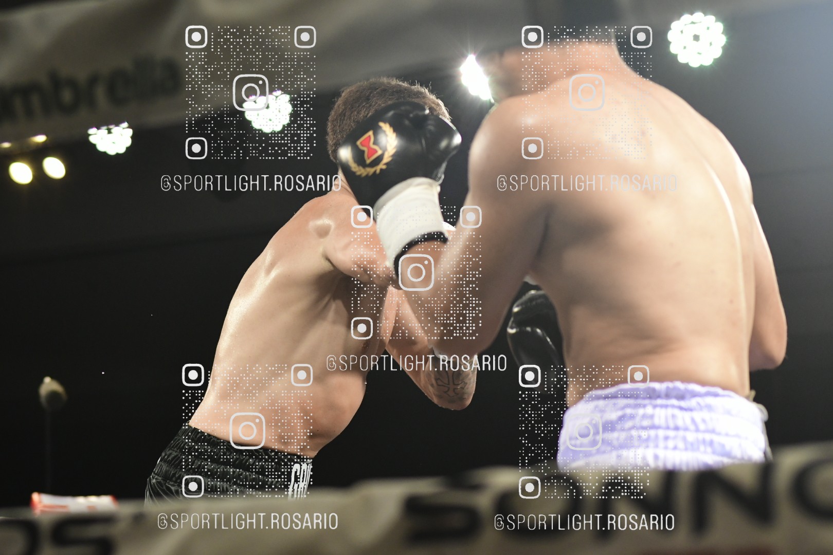 boxeo federal rosario preview 20260529 828 boxeo federal rosario preview 20260529 828