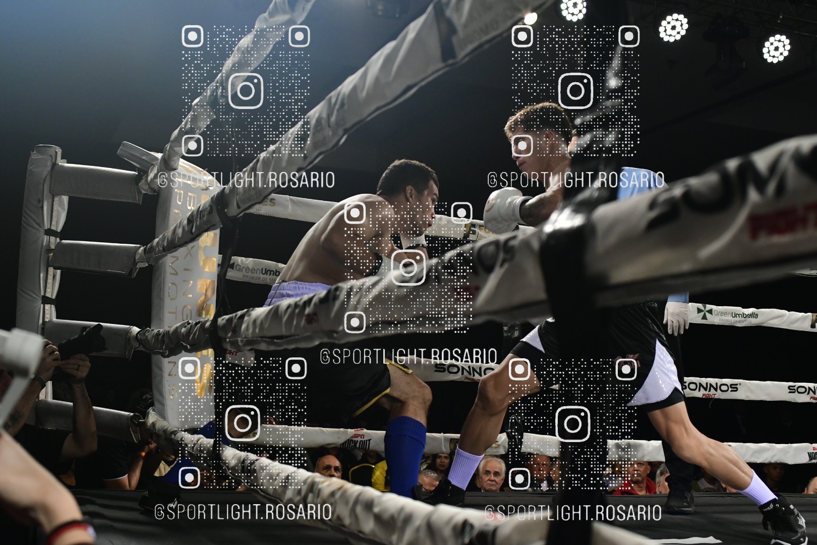 boxeo federal rosario preview 20260529 841 boxeo federal rosario preview 20260529 841