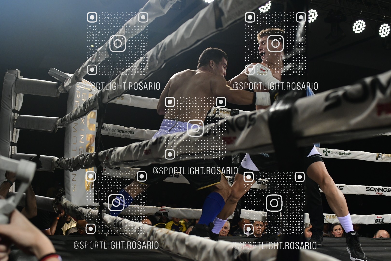 boxeo federal rosario preview 20260529 842 boxeo federal rosario preview 20260529 842