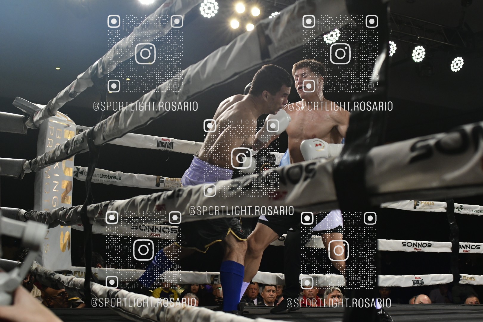 boxeo federal rosario preview 20260529 843 boxeo federal rosario preview 20260529 843