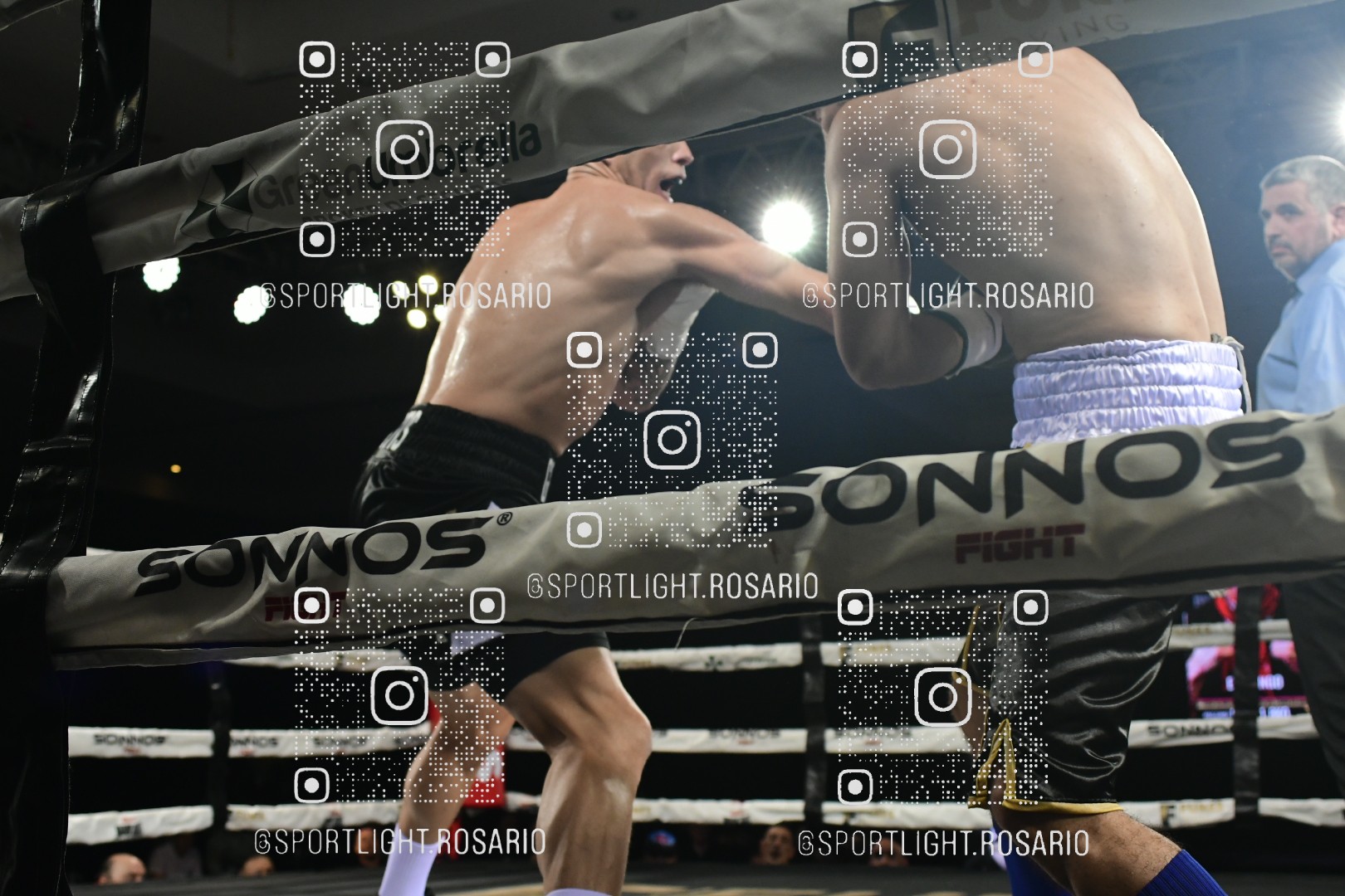 boxeo federal rosario preview 20260529 848 boxeo federal rosario preview 20260529 848