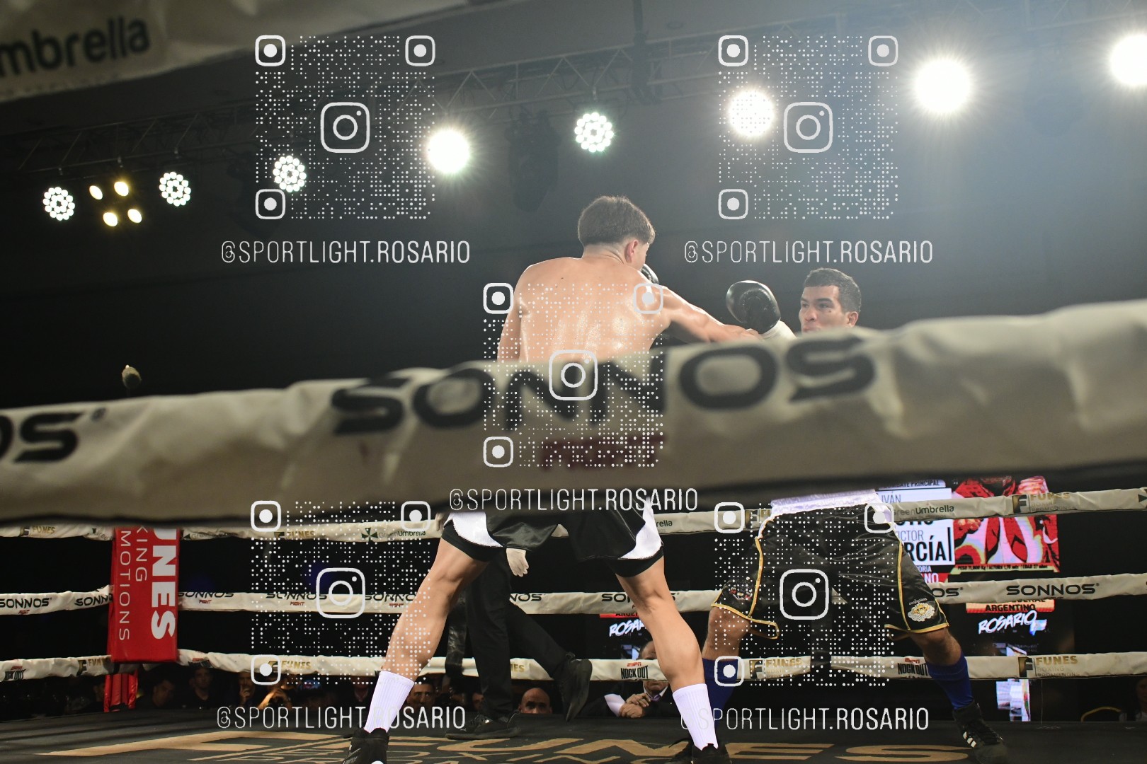boxeo federal rosario preview 20260529 877 boxeo federal rosario preview 20260529 877