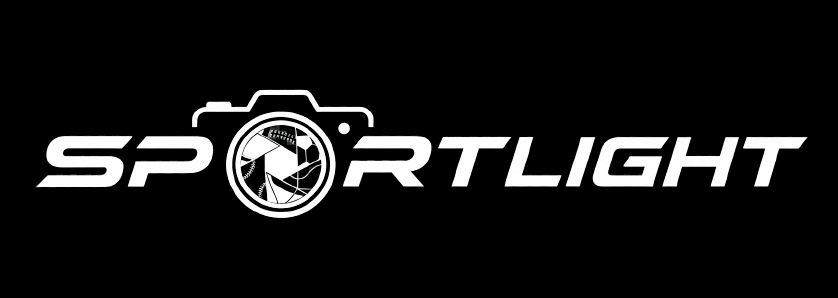 logo web